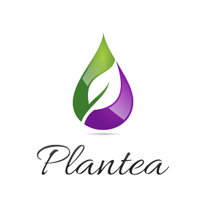 Logo Plantea
