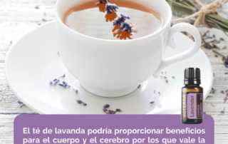 Te de Lavanda Plantea Network