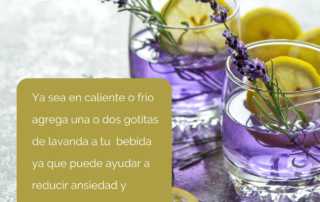 Bebidas y Lavanda